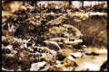 241042 Low Sweden Bridge, Lake District, England A4 Limited Edition Watercolour Print