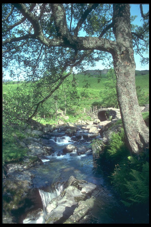 241047 High Sweden Bridge, Lake District, England A4 Photo Print