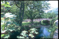 241049 River Rothay At Rydal, Lake District, England A4 Photo Print