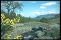 241061 Ashness Bridge, Keswalk, Lake District, England A4 Photo Print
