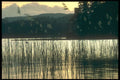 241076 Brathay Windermere, Lake District, England A4 Photo Print
