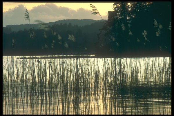 241076 Brathay Windermere, Lake District, England A4 Photo Print