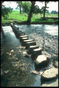 241077 Stepping Stones, Rydal River Rothay, Lake District A4 Photo Print