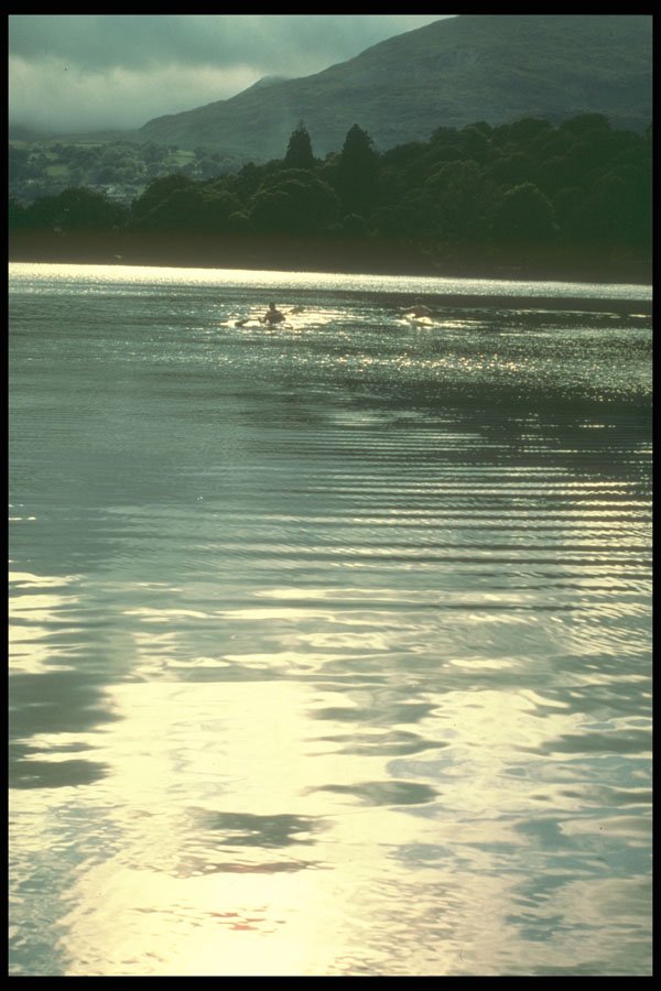 241084 Conistonwater, Lake District, England A4 Photo Print