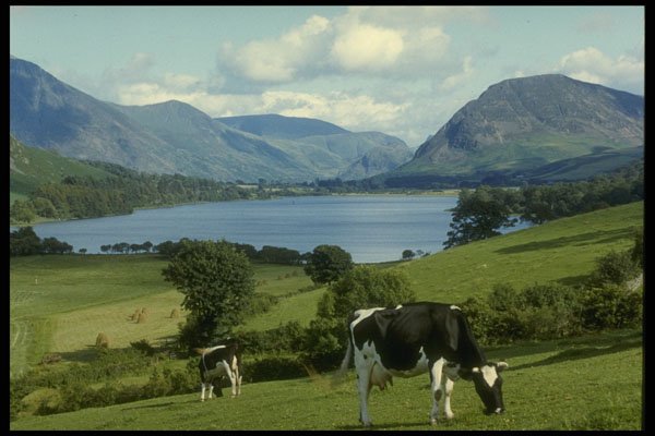 241091 Lowes Water, Lake District, England A4 Photo Print
