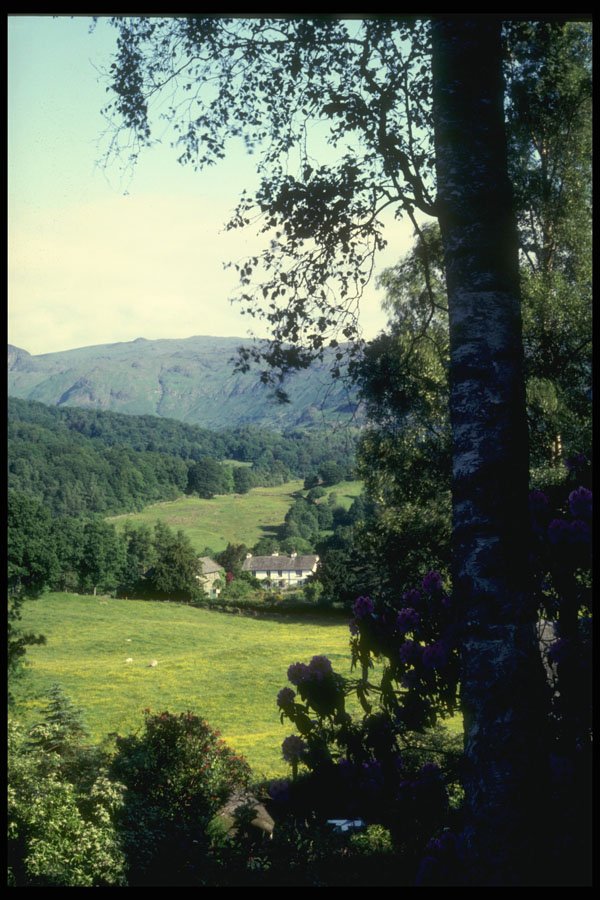241093 Elterwater Park, Lake District, England A4 Photo Print