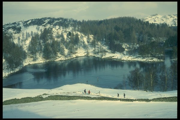 241098 Tarn Hows, Lake District, England A4 Photo Print