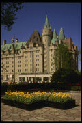 242003 Yellow Tulips And Chateau Laurier In Spring A4 Photo Print