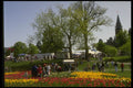 242010 Tulip Festival, Major Hill's Park A4 Photo Print