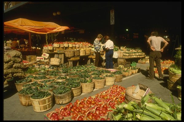 242025 Tomatoes And Cucumbers At Byward Market A4 Photo Print