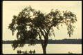 242029 Bicycle Path On Ottawa River Parkway A4 Photo Print