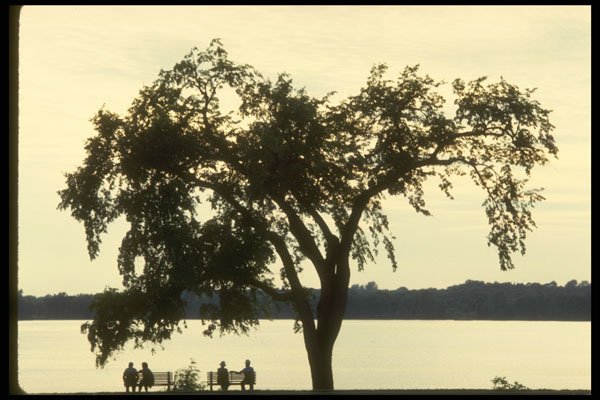 242029 Bicycle Path On Ottawa River Parkway A4 Photo Print