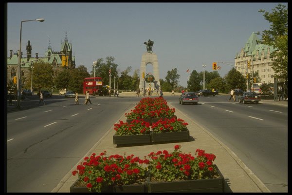 242054 Elgin Street, Leading To War Memorial A4 Photo Print