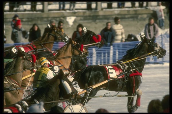 242060 Harness Racing On Canal, Winterlude A4 Photo Print