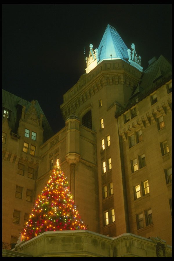242083 Christmas Tree On Chateau Laurier A4 Photo Print