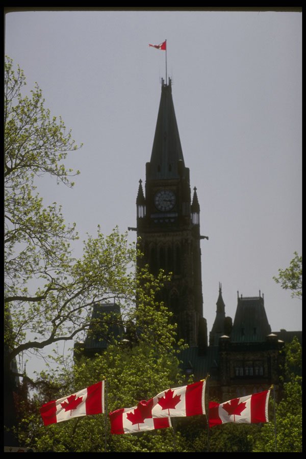 242086 Peace Tower On Canada Day A4 Photo Print
