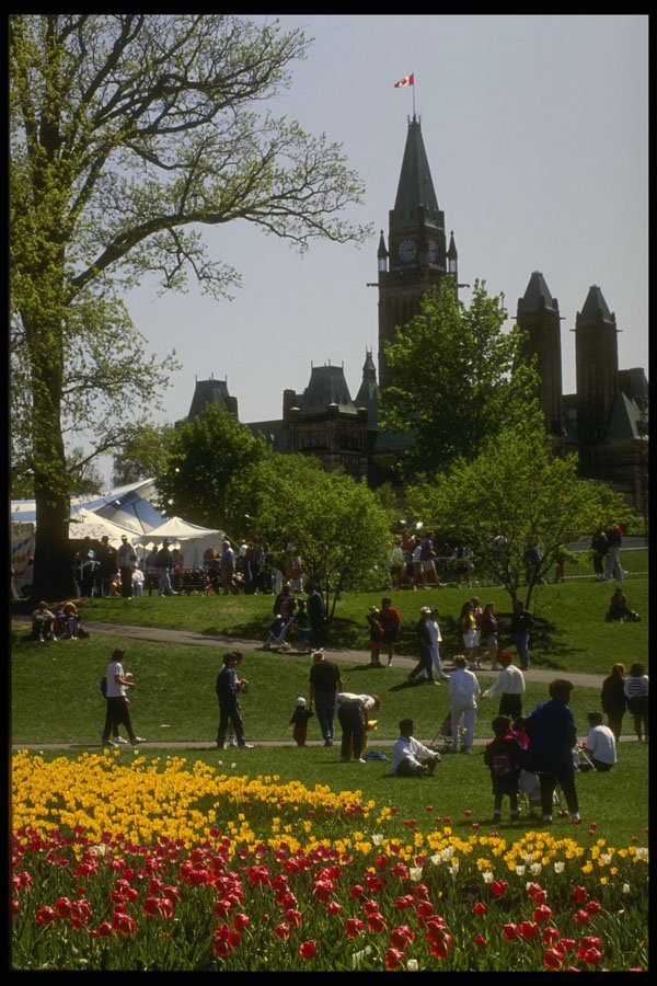 242089 Festival Of Spring, At Major Hill's Park A4 Photo Print