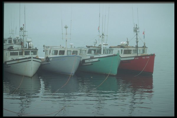 243001 Tuna Wharf A4 Photo Print