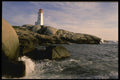 243006 Peggy's Cove A4 Photo Print