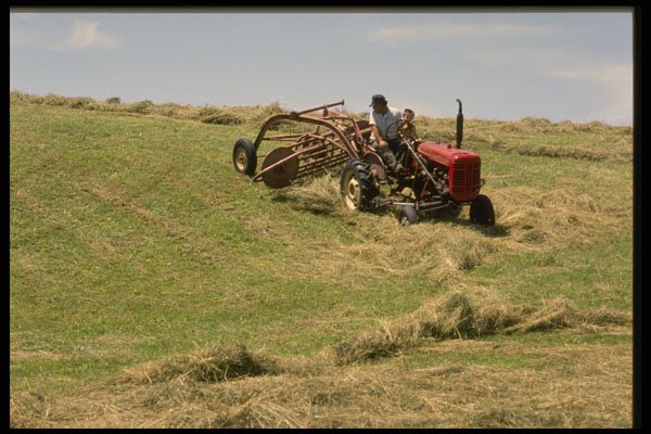 243016 Harvesting Hay A4 Photo Print