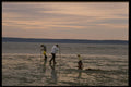 243022 Digging For Cockles, Pointe A Mageur A4 Photo Print
