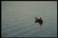 243025 Relaxed Fishing A4 Photo Print