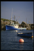 243028 Argyle A4 Photo Print