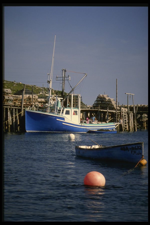 243028 Argyle A4 Photo Print