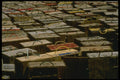 243036 Lobster Shipping Crates A4 Photo Print