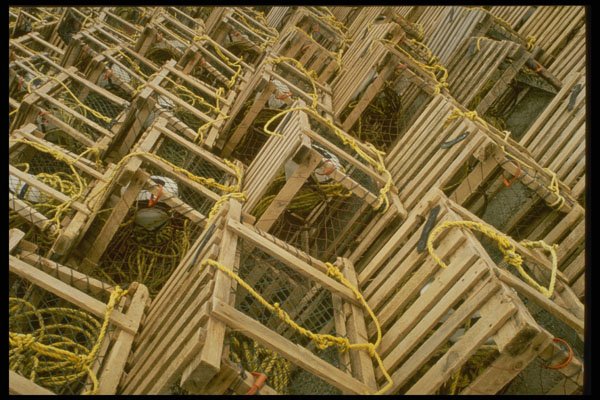 243040 Lobster Traps A4 Photo Print