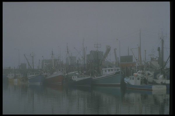 243044 Metegan Port A4 Photo Print
