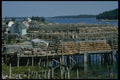 243055 Tusket Islands A4 Photo Print