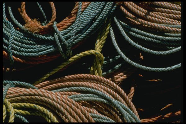243065 Lobster Trap Lines A4 Photo Print