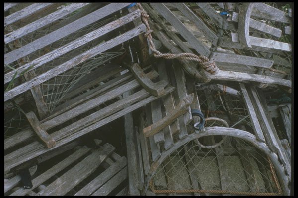 243070 Lobster Traps A4 Photo Print