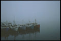 243076 Tuna Wharf A4 Photo Print