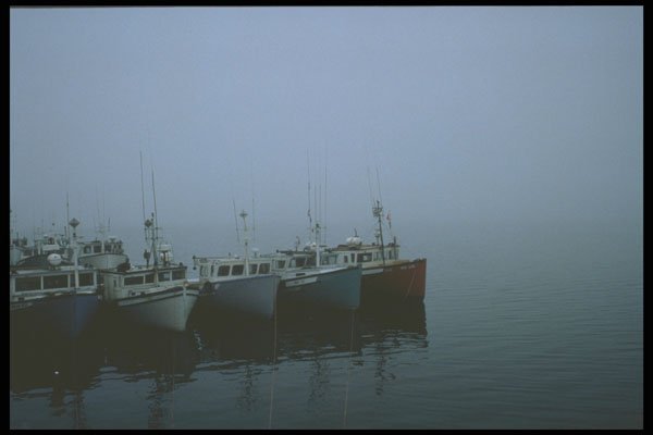 243076 Tuna Wharf A4 Photo Print
