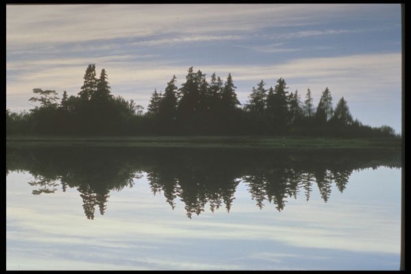 243080 Reflections A4 Photo Print