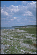 243083 Pubnico Beach A4 Photo Print