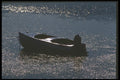 243087 Cedar Boat A4 Photo Print