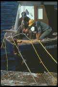 243094 Gaudet's Boat Building A4 Photo Print