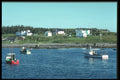243097 Petit De Grat A4 Photo Print