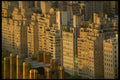 244030 Central Park, Fifth Avenue A4 Photo Print