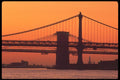 244077 Statue Of Liberty, Manhattan A4 Photo Print