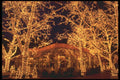 244099 Tavern On The Green Restaurant A4 Photo Print