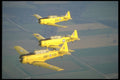 245001 Harvards A4 Photo Print