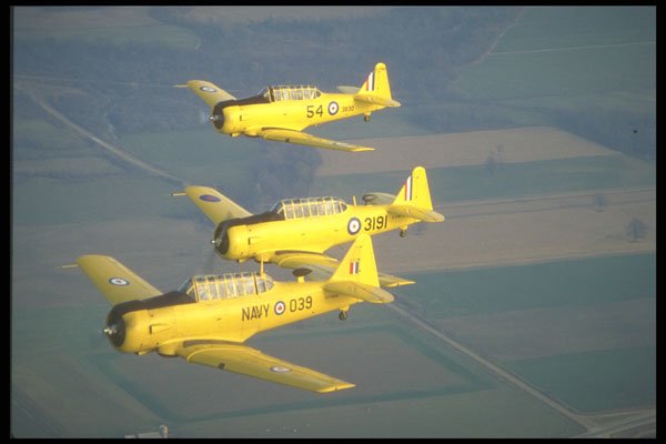 245001 Harvards A4 Photo Print