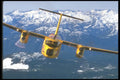 245040 De Havilland Buffalo A4 Photo Print