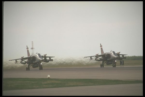 245052 Jaguars Taking off A4 Photo Print