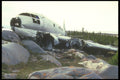 245071 Crash Site A4 Photo Print