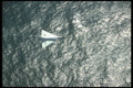 245087 Convair F 106A Delta Dart A4 Photo Print
